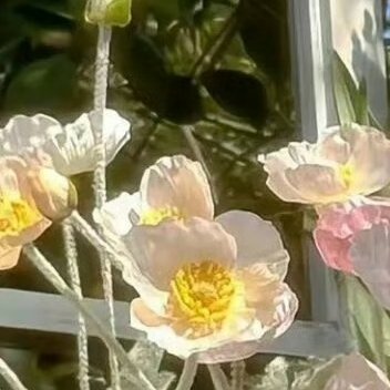 每日一善 阳光信用每日一善 2000向善是一种文明，也是一种光明。善良之举，需要