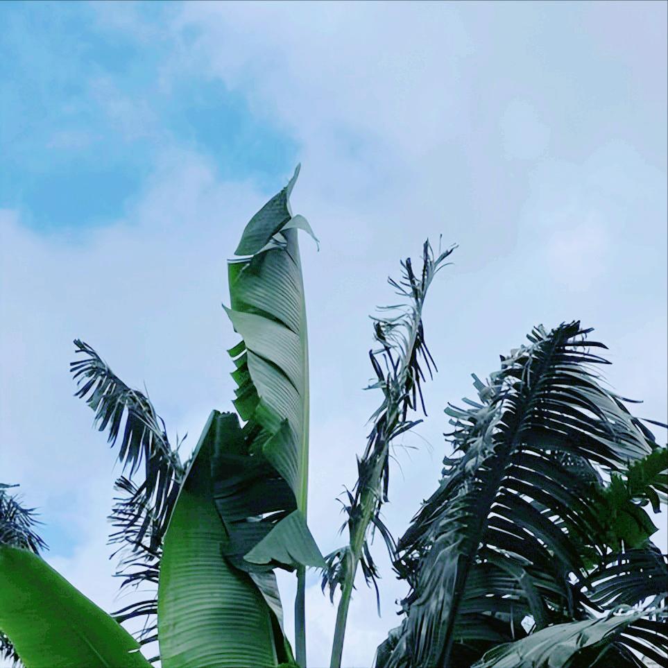 时隔4日   辽宁：再次通报党纪政务处分3人
 
12月23日18:50，该省：