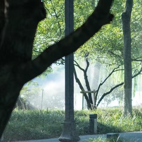 每日一善 🍃阳光信用 🍃每日一善 ygxy极好784🉑🧱🍎，🈲️快/
