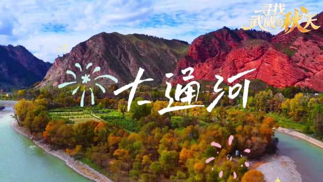 【寻找武威的秋天丨大通河】祁连起秋，河水长流。白桦染金，峡谷藏柔