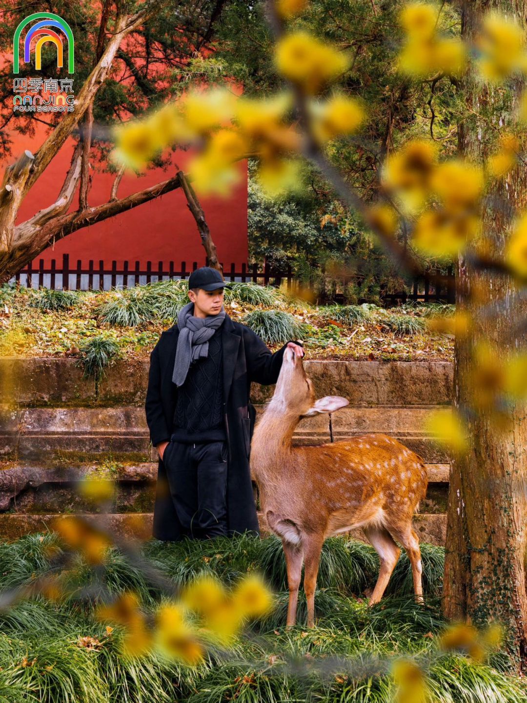 人生建议‼来南京过大年也别错过这➓个地方🏮