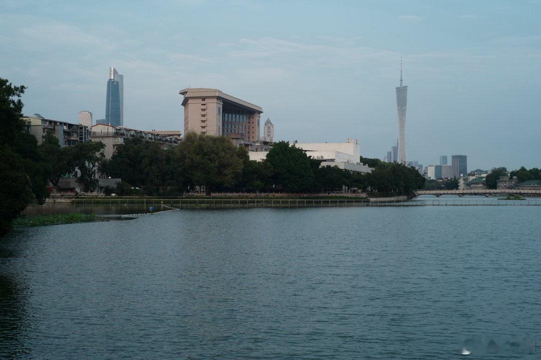 早安每一天，献上东山湖公园的夏日风光我的日常plog城市摄影摄影不凡东山湖公园 
