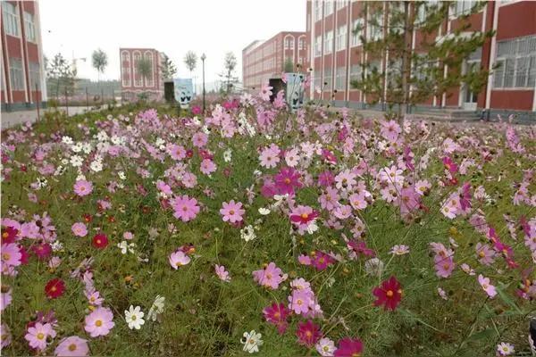 40后的名字：建国、解放、国庆、建华、国强
 
50后的名字：援朝、卫国、抗美、