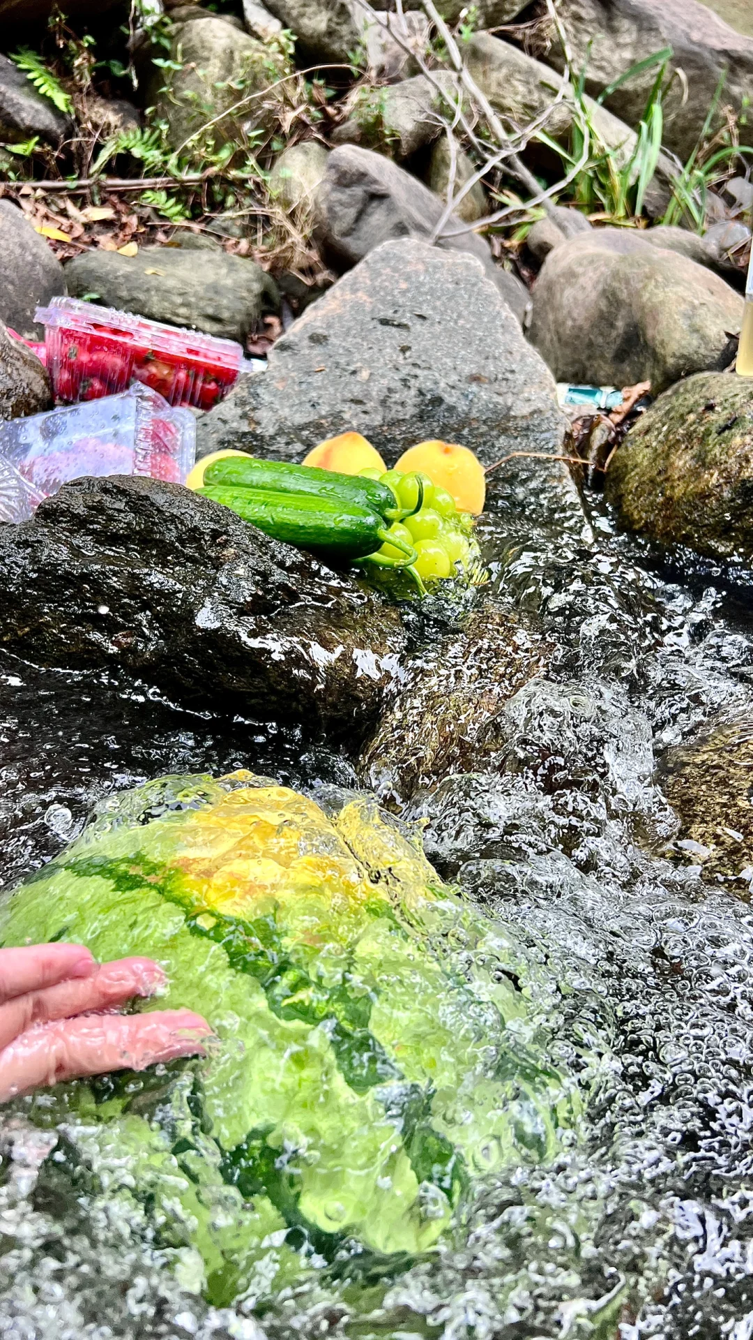 武汉溯溪天花板🌟开车1h 人少好停车 有虾🦞