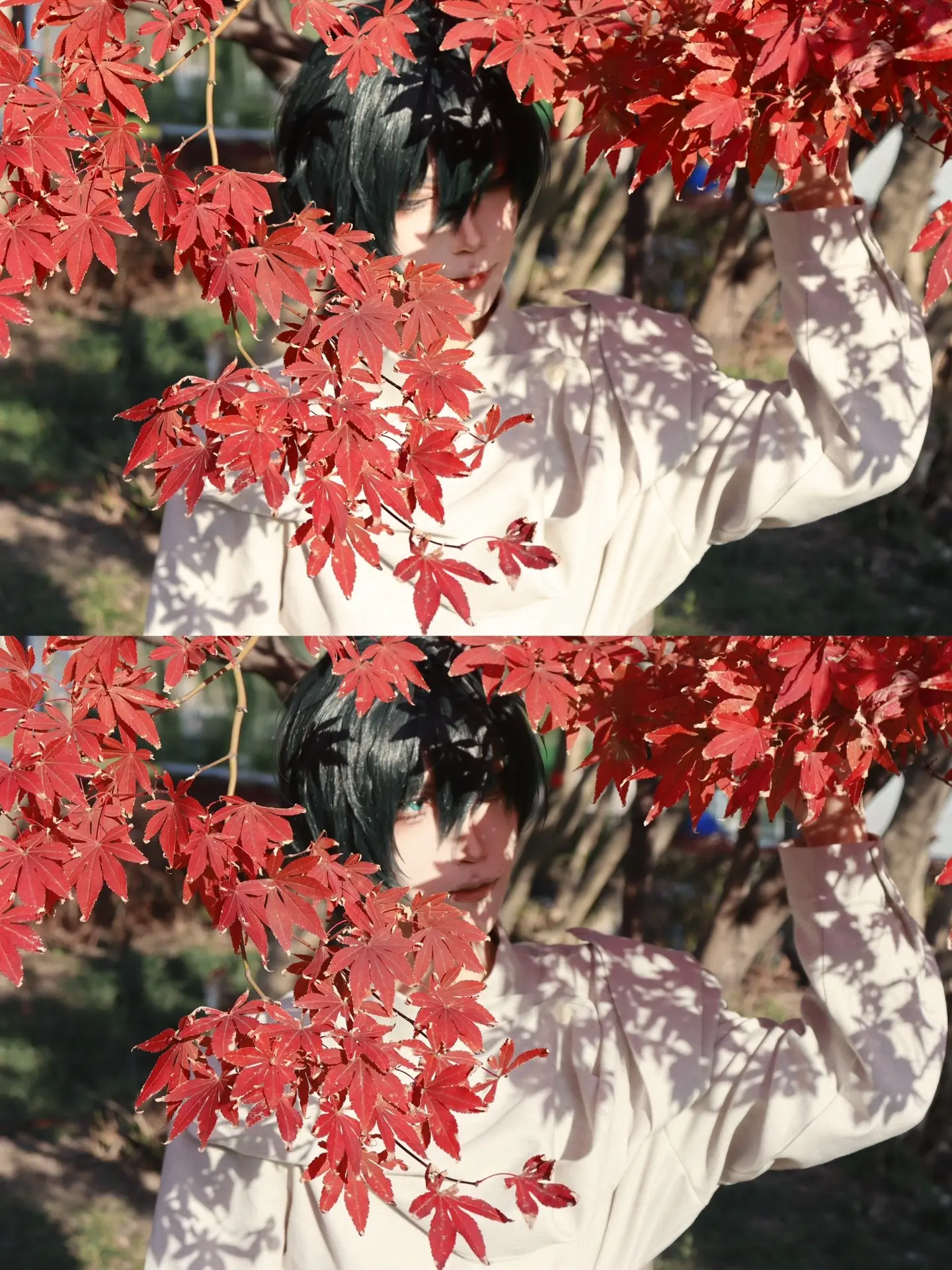 纷落的秋叶是对你的思念。对图在