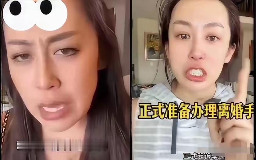 刑法教授陈枫，放着安稳退休日子不过，非要往火坑里跳——他公开主张，涉外婚姻团聚拿