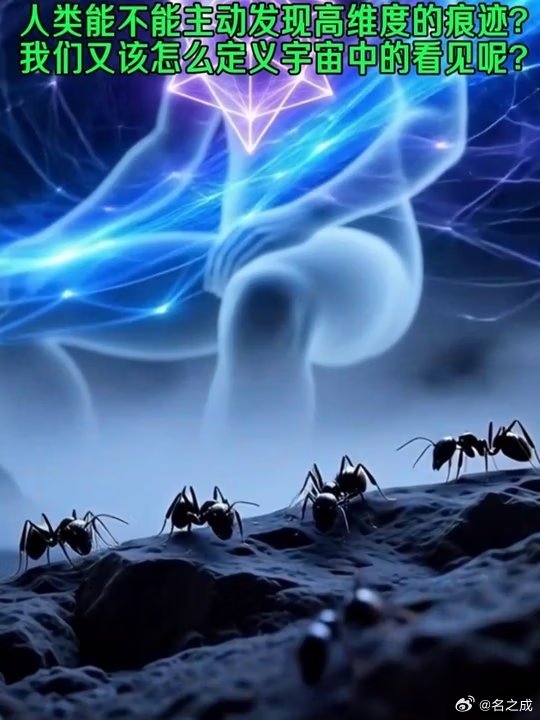 【视频】人类真的是高维存在吗从蚂蚁视角看文明差距 数学能呈现很高的维度，四维、五