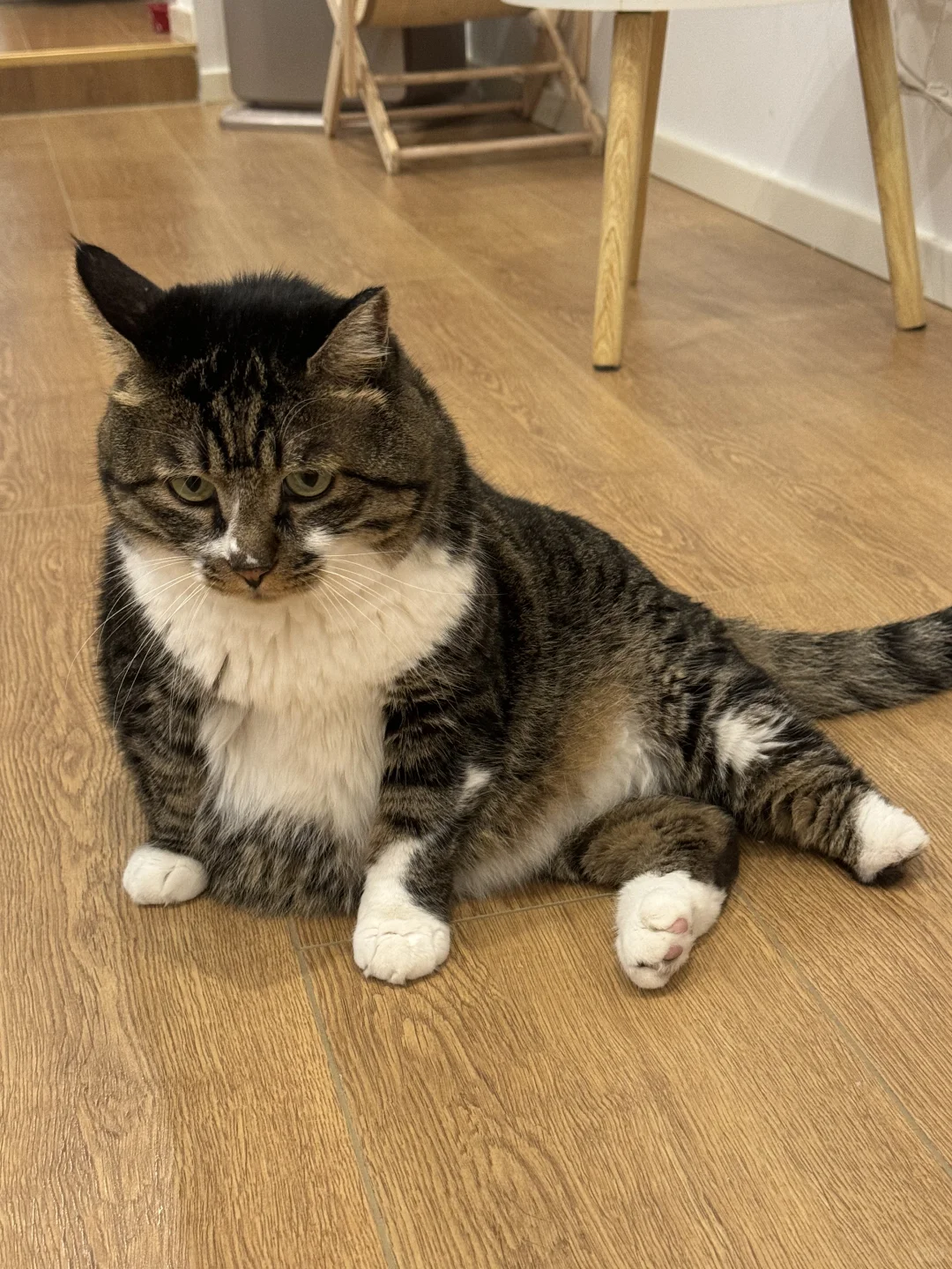 我家宝最喜欢的坐姿大赏