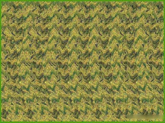 只有不到5%的人能看出来的裸眼3D立体图。
手机距离眼睛最佳距离25厘米左右
3