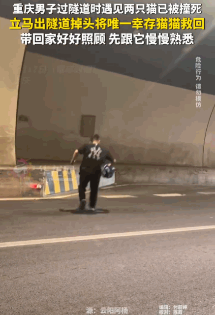真是善良的人！重庆，一男子驾车过隧道，发现两只猫咪已被撞身亡。就在他准备驶离时，