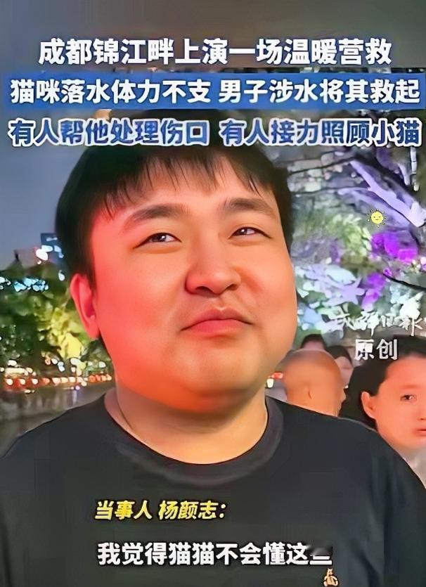 5月9日台州交通广播报道，四川成都，一只流浪猫意外坠江，苦苦挣扎，一好心男子看到