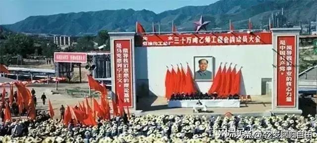包产到户为什么产量高了?包产到户粮食产量提高了吗？只有包产到户前一亩地才打50多