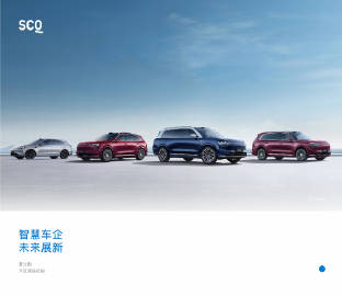 重庆车企赛力斯于昨日正式开启港股招股，将持续进行至10月31日，并计划...