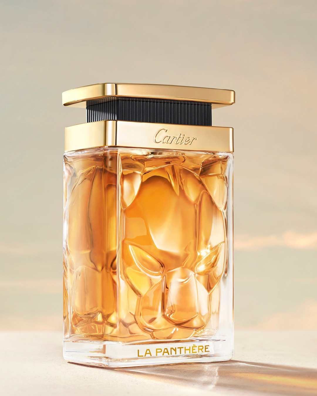 Rebecca Lelgh Longendyke x Cartier La Pa