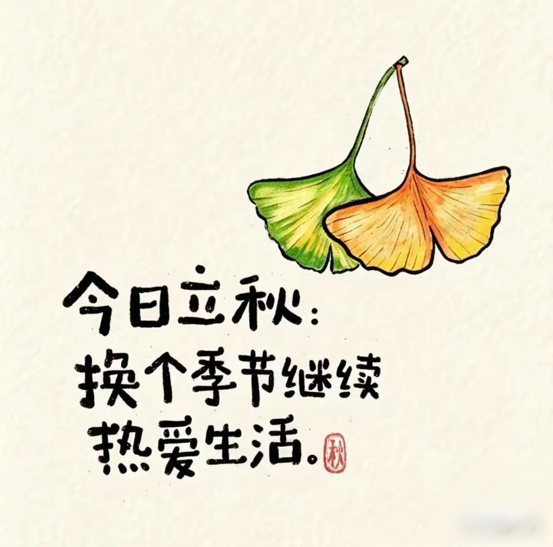 暑气未消，立秋忽至，夏末的余热还未散尽，秋日便缓缓登场。愿这个夏天所有没能圆满的