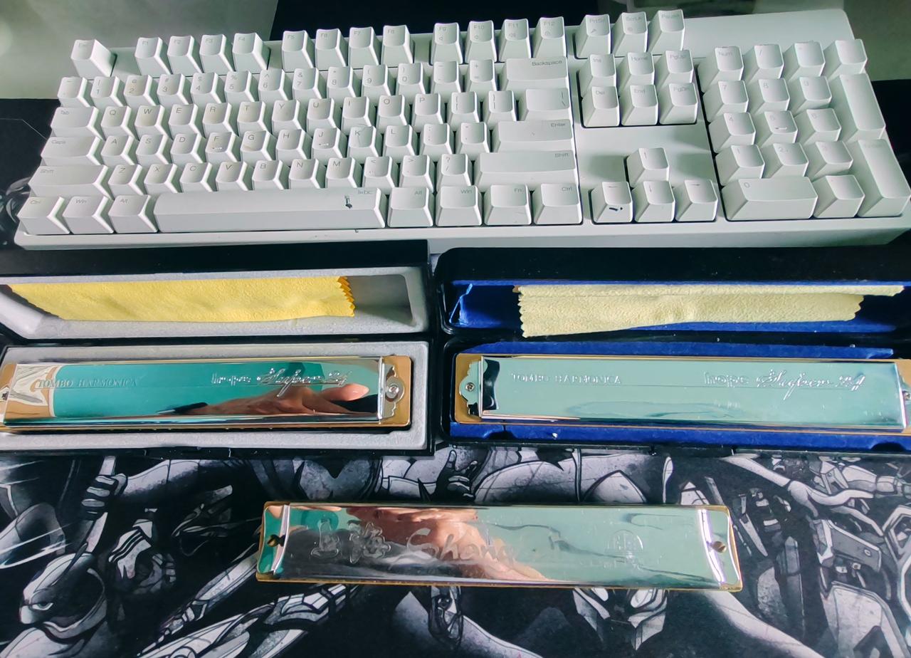 选口琴可得好好琢磨。对于新手，复音口琴是绝佳选择。它上手门槛低，双簧片设计，轻轻