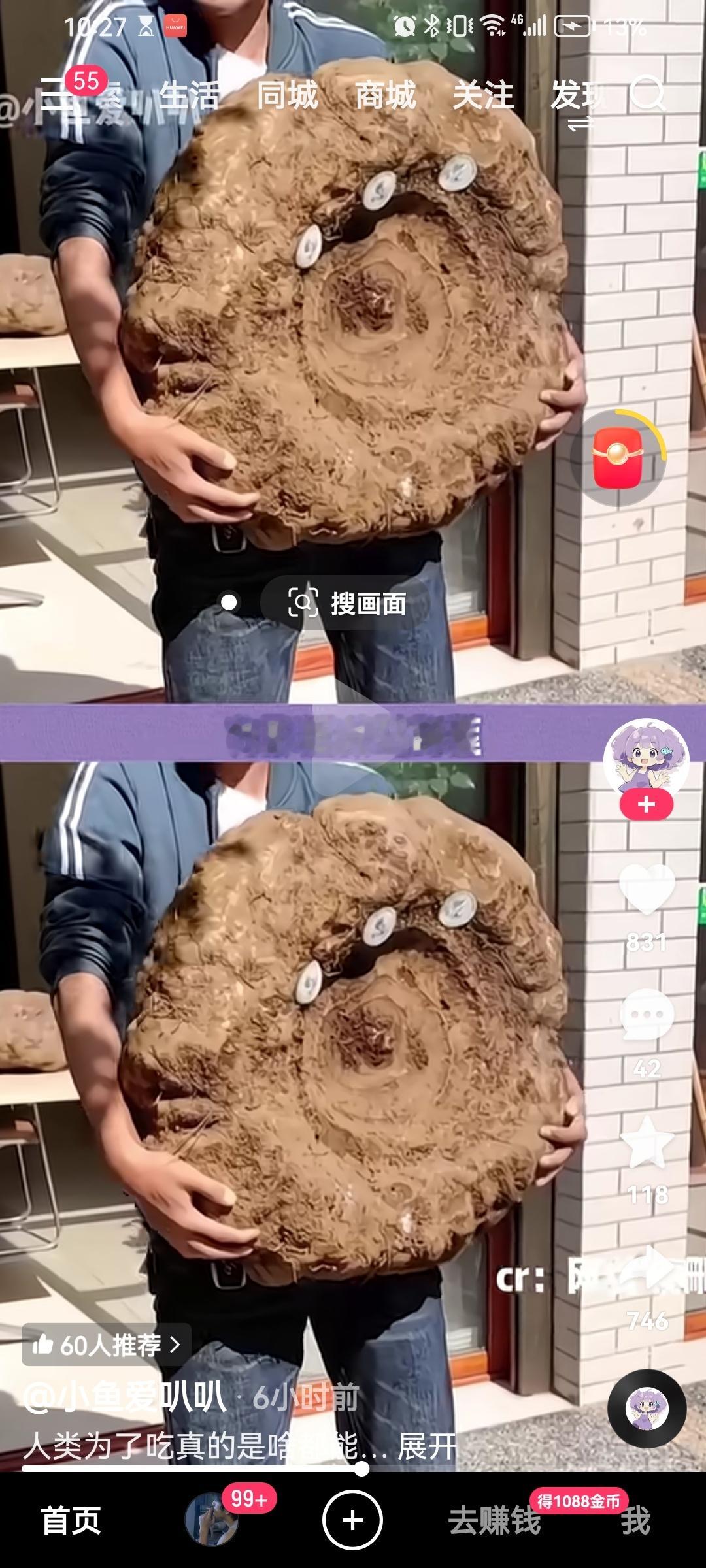 平时吃的魔芋爽居然是地里长得我一直以为工厂合成的