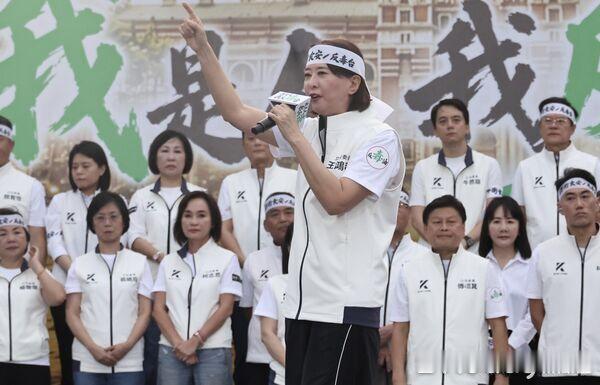 “台派”主张演狸猫换太子讽蒋万安，王鸿薇批：用大罢免手法辱台北市民智商
台南“铡