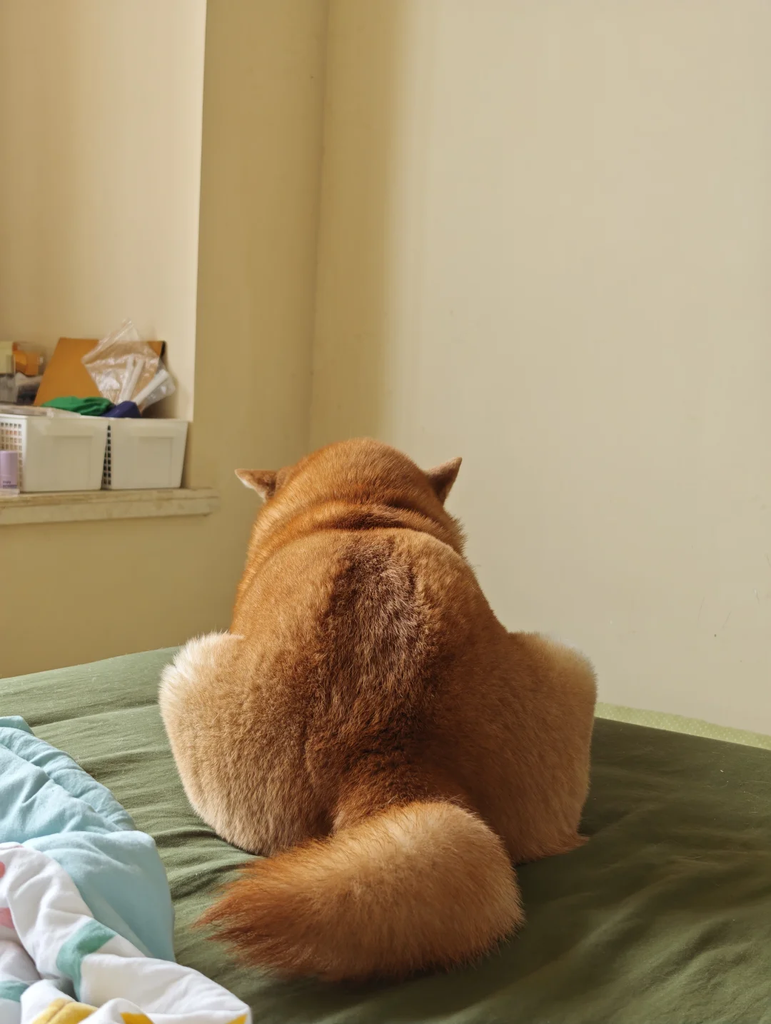 求你了吃一口吧