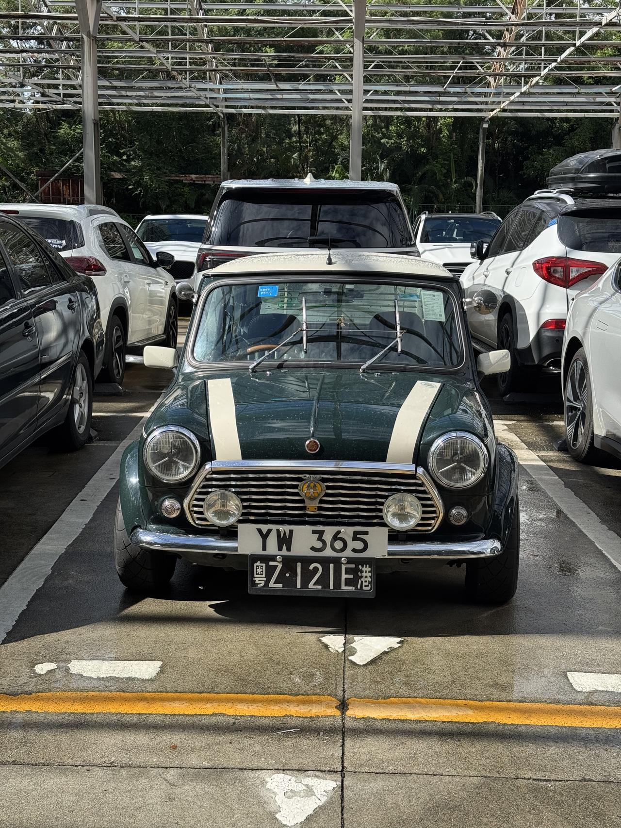 偶遇憨豆先生同款mini，这样经典的老爷车，放在一众现代车型里面，太帅太吸睛了，