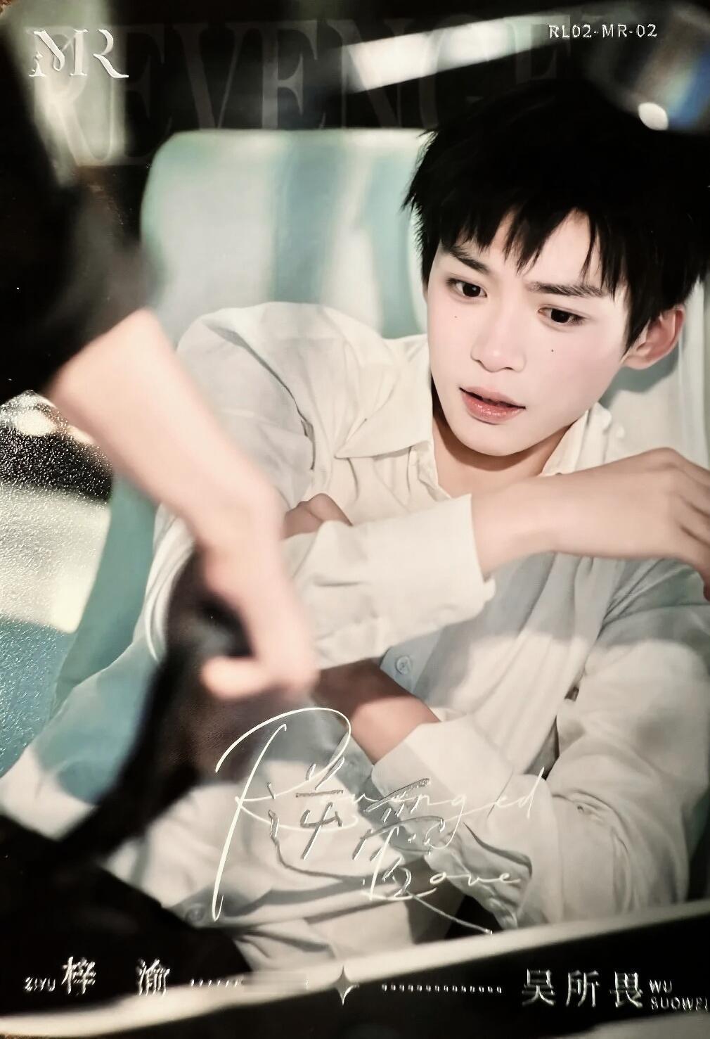 向全世界安利我担推荐一只畏畏 