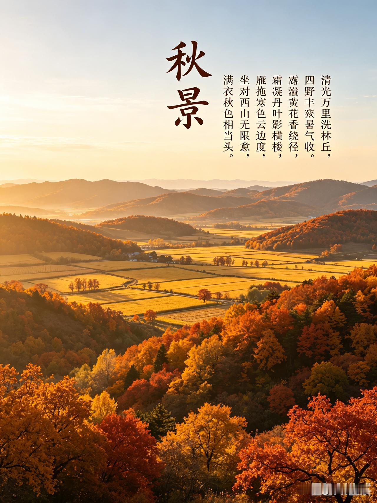 头条创作训练营 刷到乐韵晓诗这首原创《秋景》瞬间眼前一亮，绝非堆砌意象的流水诗。