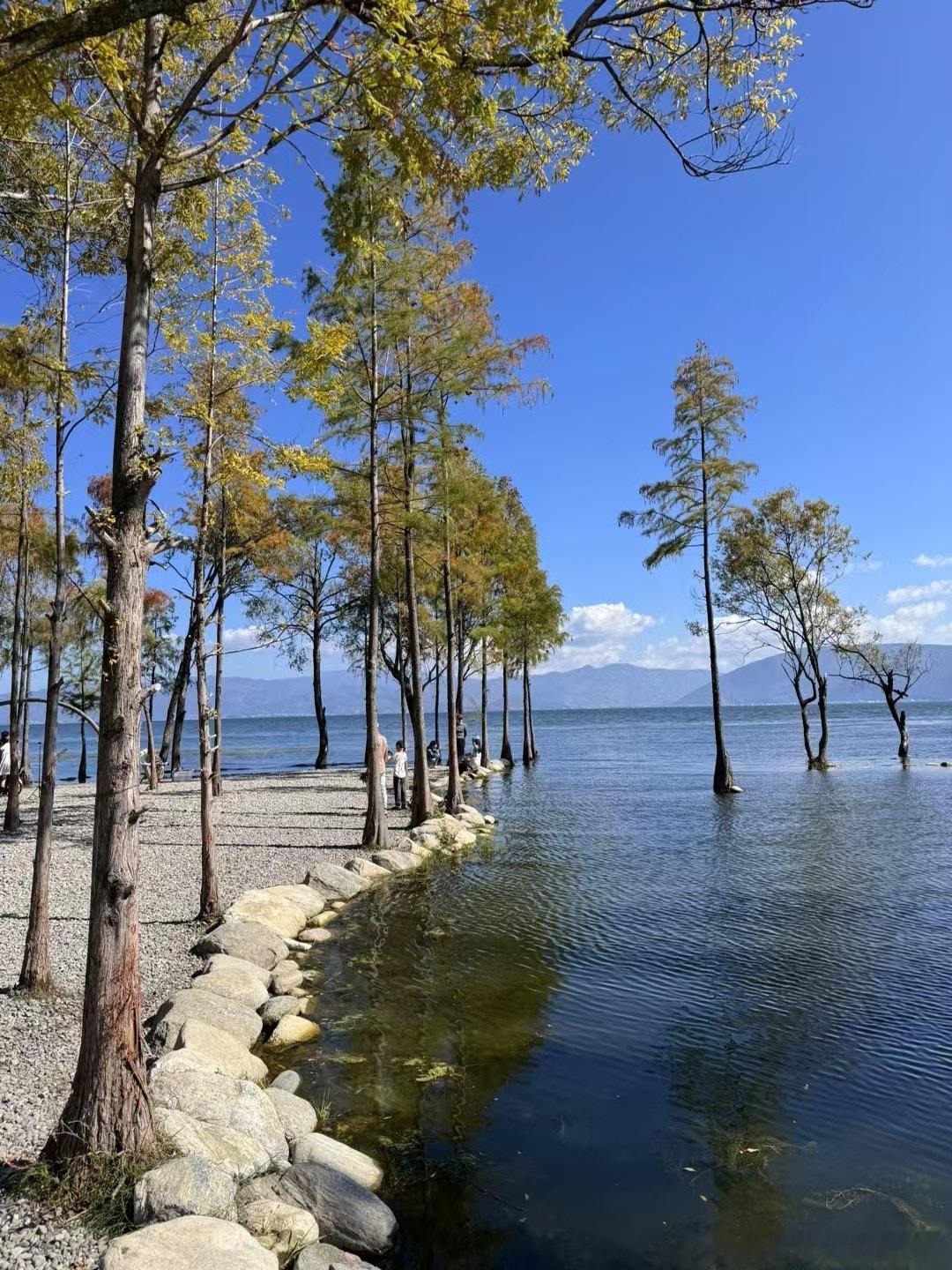 终于凑齐了年度四宫格用镜头记录了2024📷旅行见证了不同地方的风景也开阔了不一