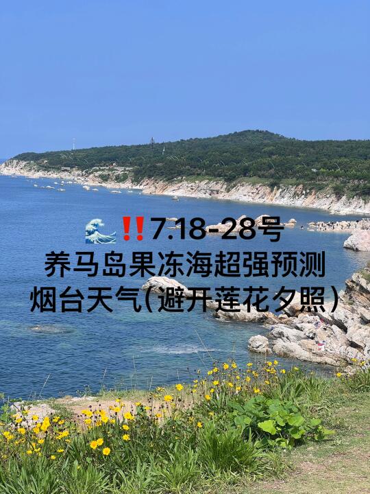 📍7.18-28号烟台养马岛果冻海超强预测