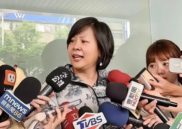 民进党还是高兴的太早了？李贞秀在绿媒节目上左打“民众党”右打“民进党”，一句“陆