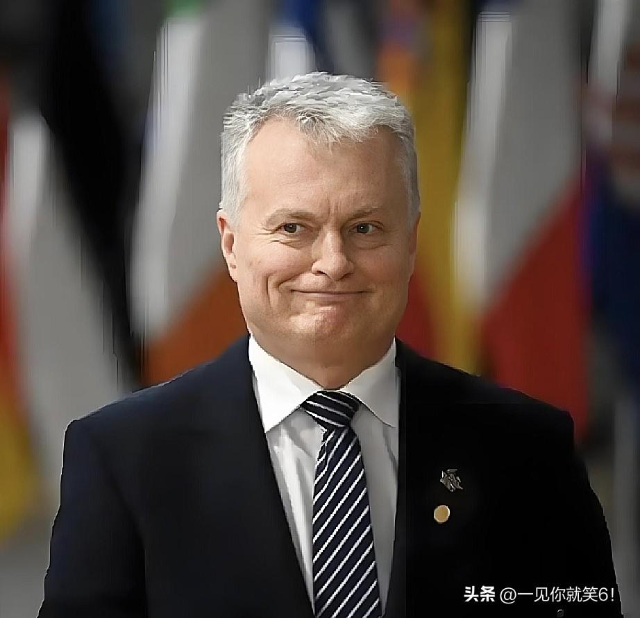最新消息，

立陶宛正式宣布了，

6月18日，立陶宛外交部宣布已向中国提交恢复