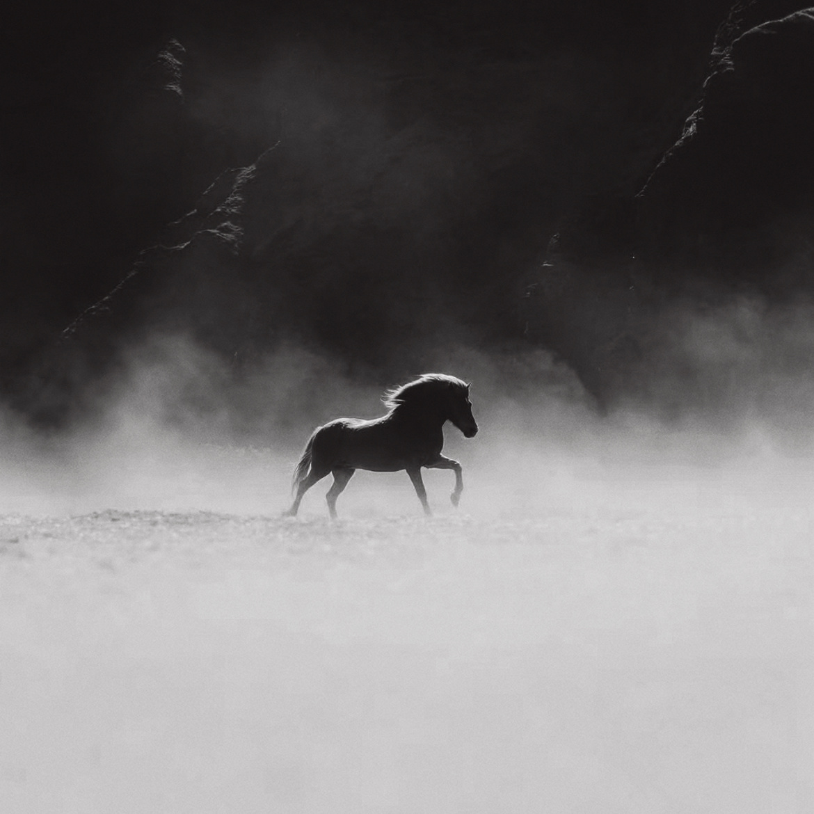🐎🐎🐎 ​​​