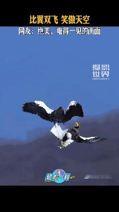 绝美，难得一见！👍