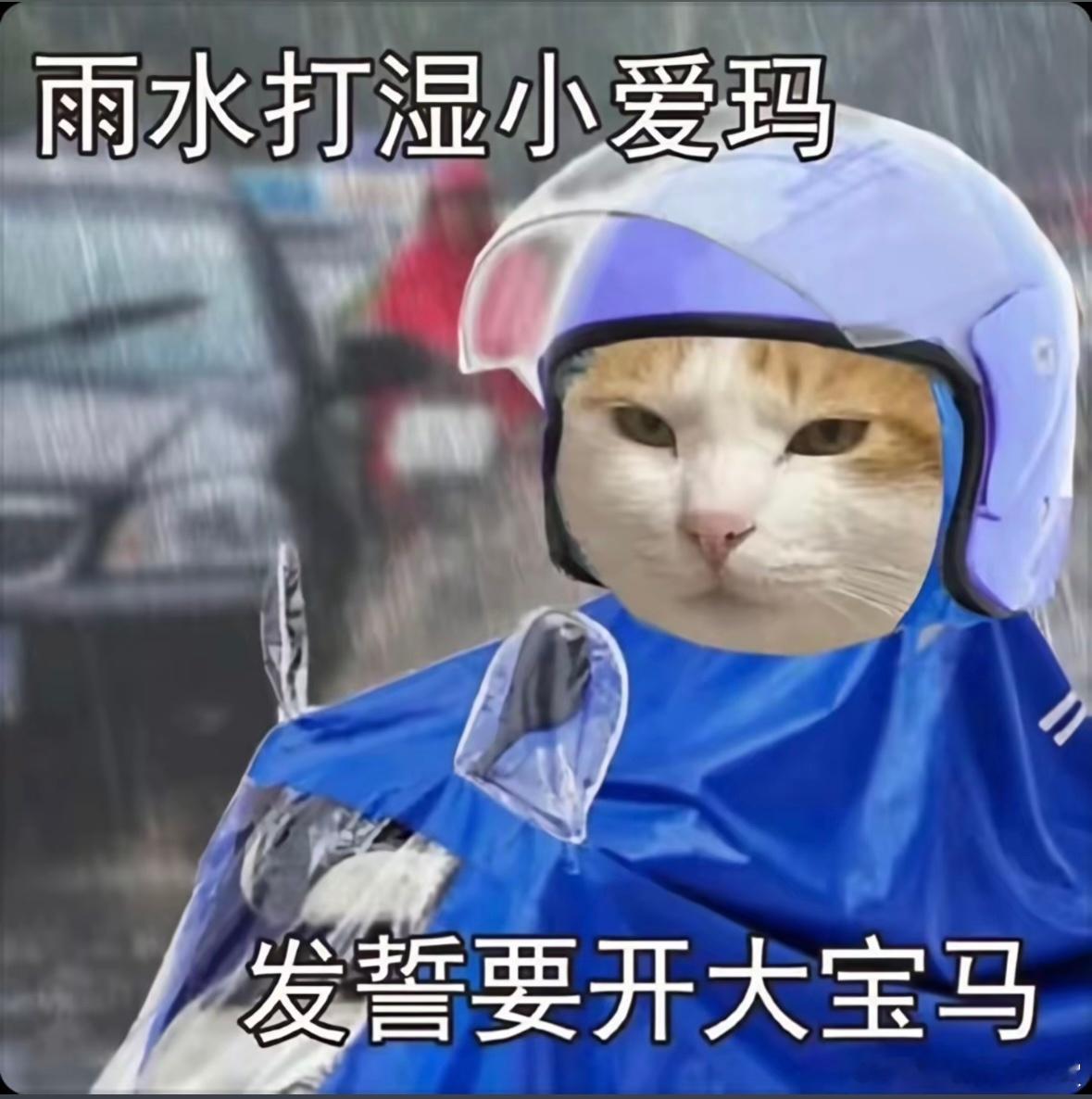 这下算是解决了要坐在宝马上哭还是坐在电动车上笑的问题了 