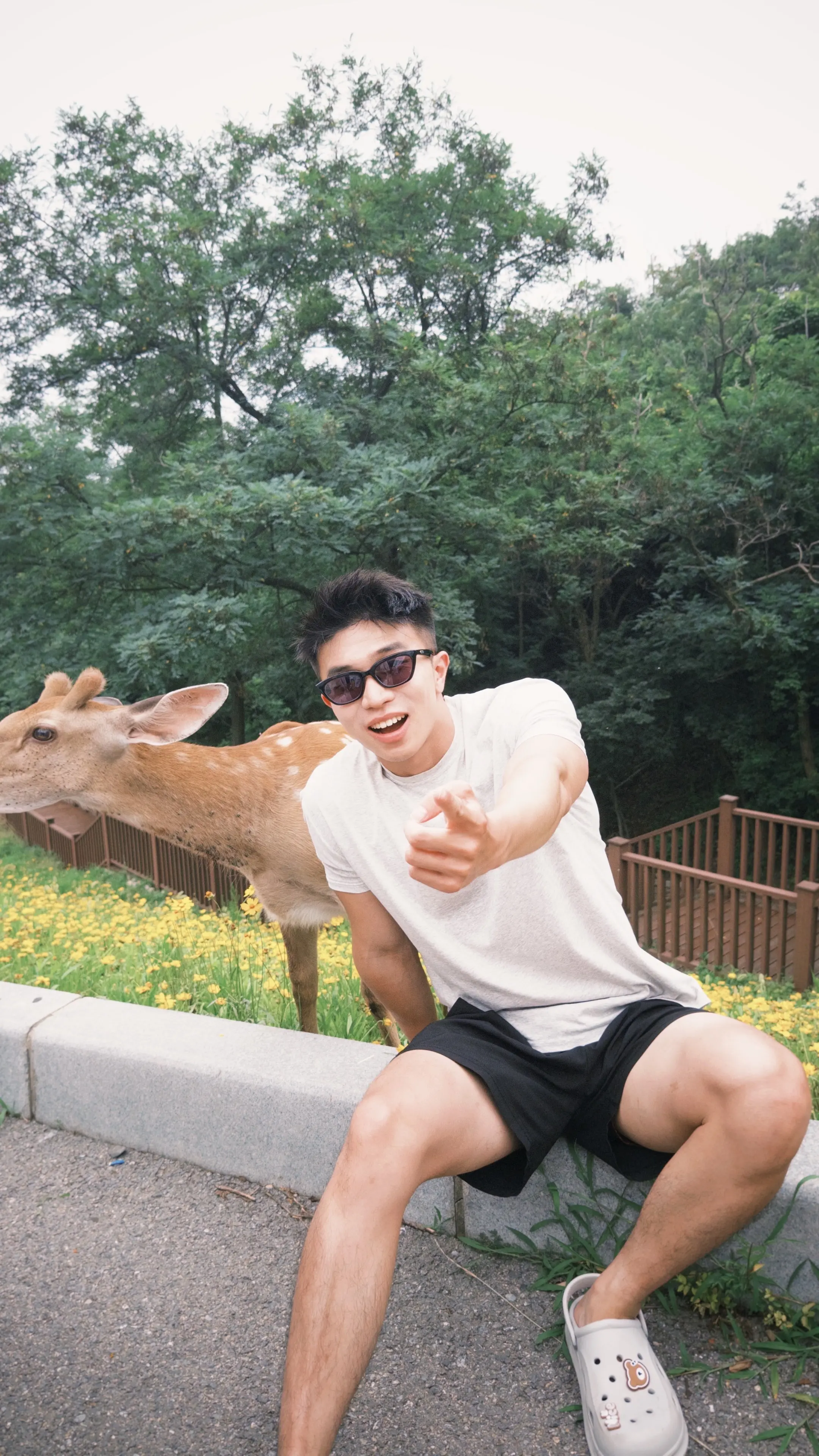六一快乐～🦌