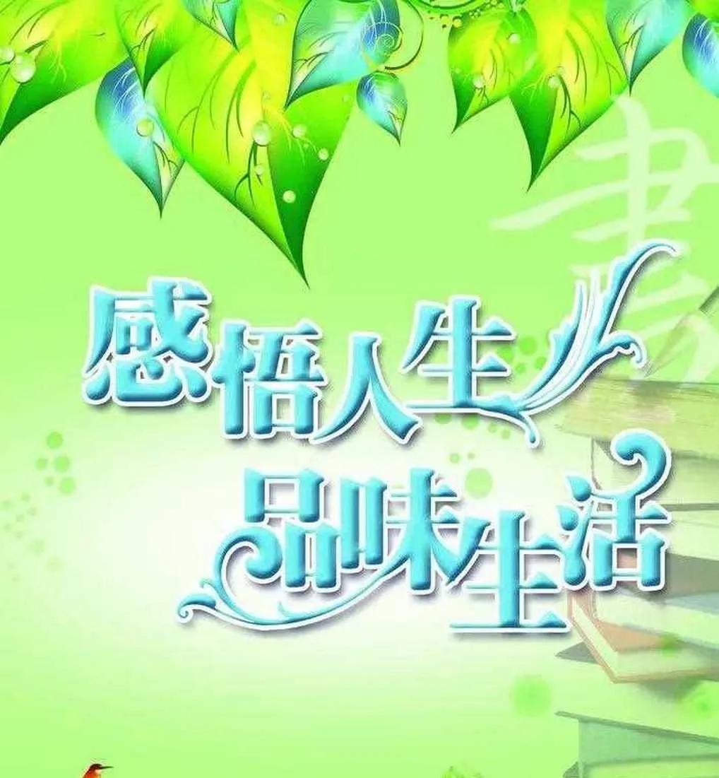真正的幸福往往藏在细微之处，当我们学会放慢脚步，用心感受生活的温度，就会发现，那