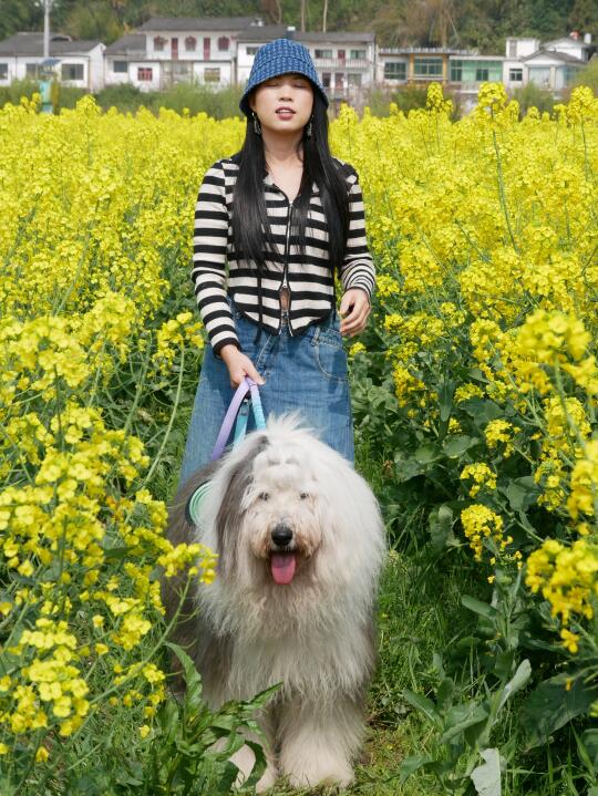 带狗子冲贵阳油菜花海！人少花高随便拍📸