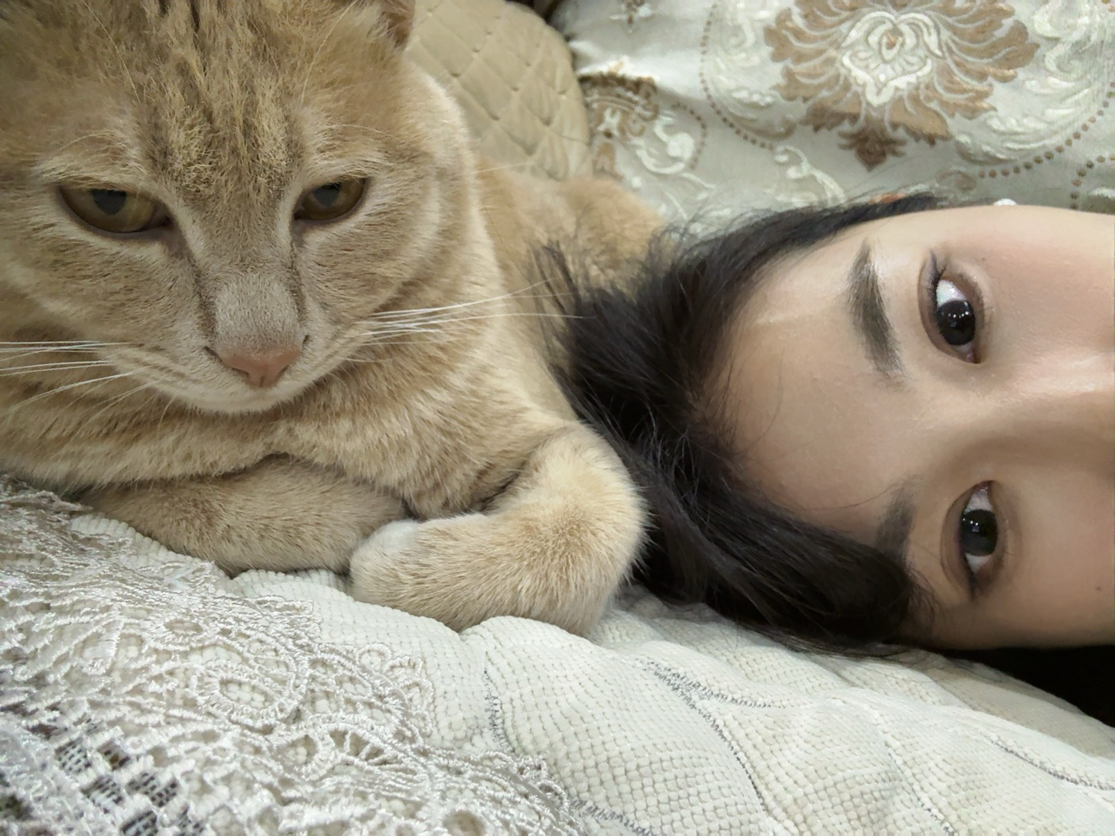 又是睡到自然醒的一天UU们早啊！早安橘子来了