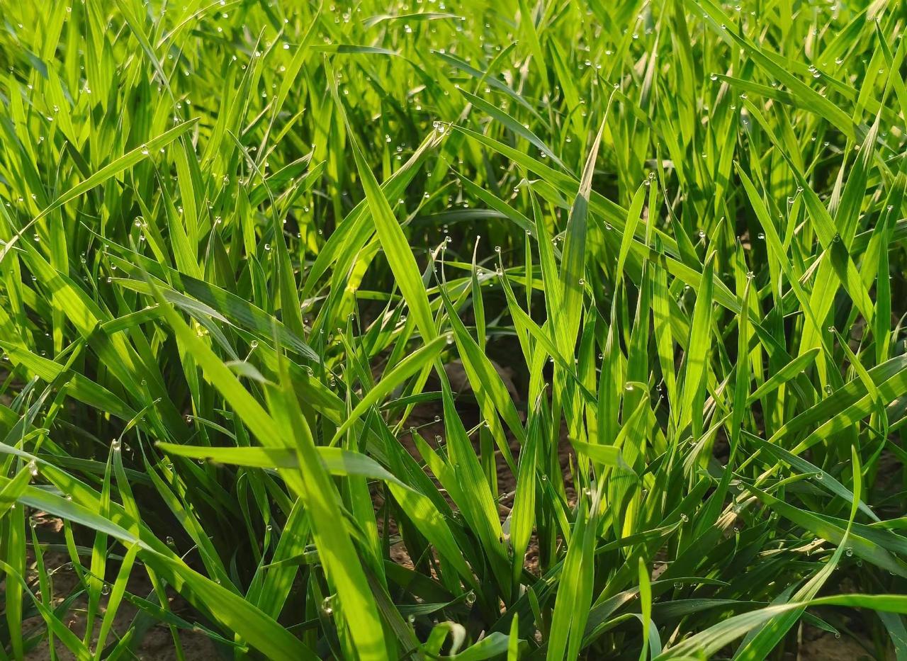 回老家就是最好的心理医生，不用刻意治愈，人到心安。