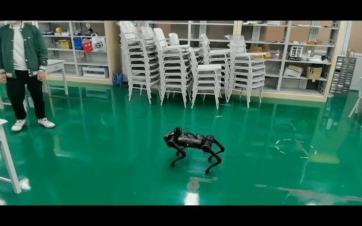 全球首个参加马拉松的机器导盲犬 明天上午见证历史！全球首款开放环境自主机器人，化