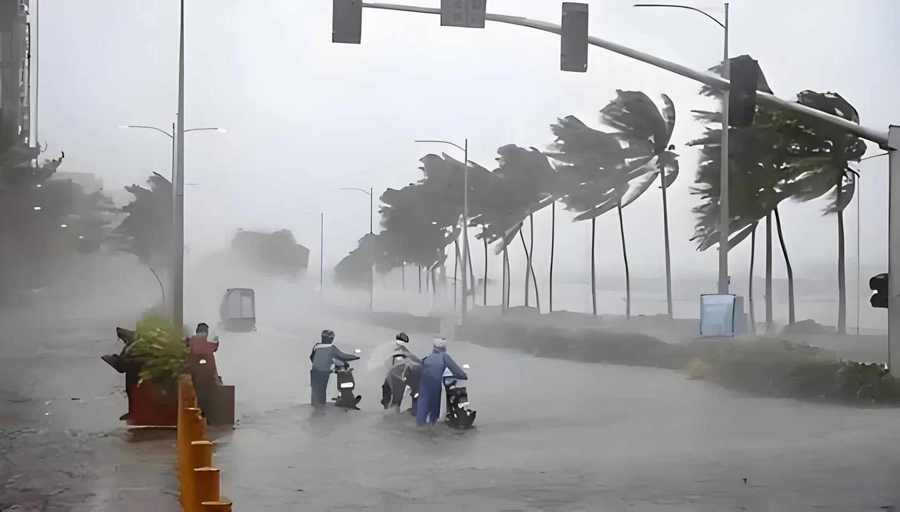 太罕见！这条街真的被台风“盯上”了！

谁见过这么离谱的事？一条街道，短短48天