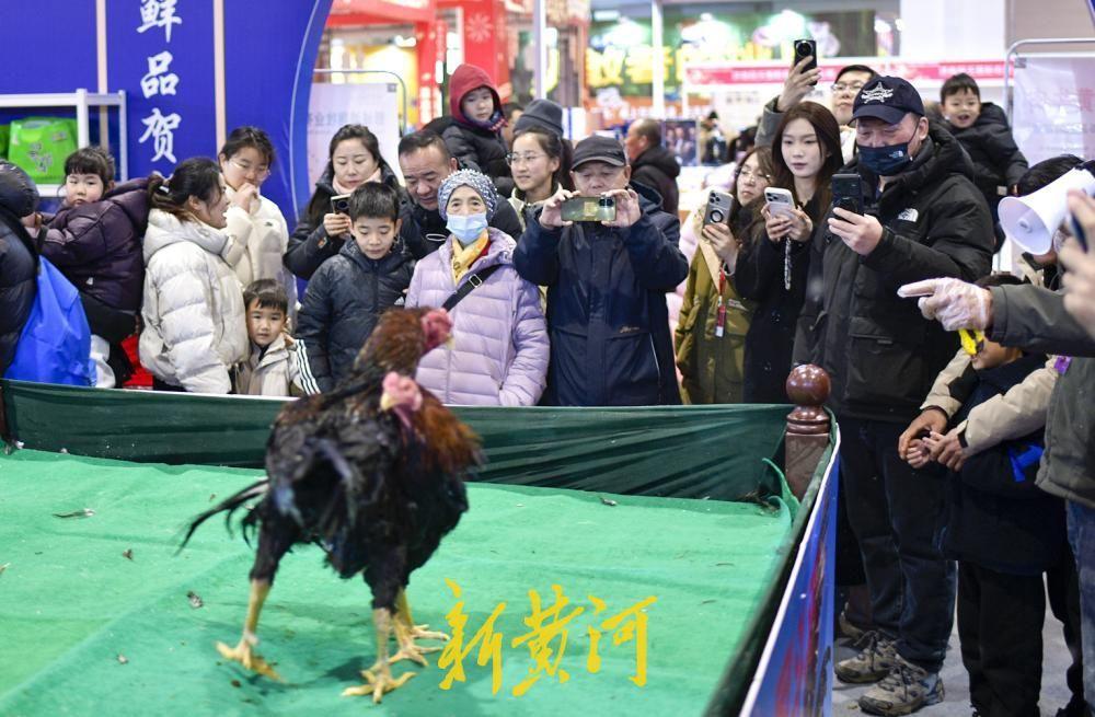 2月6日，2026齐鲁农超新春年货会在山东国际会展中心拉开帷幕。作为一场汇聚全省