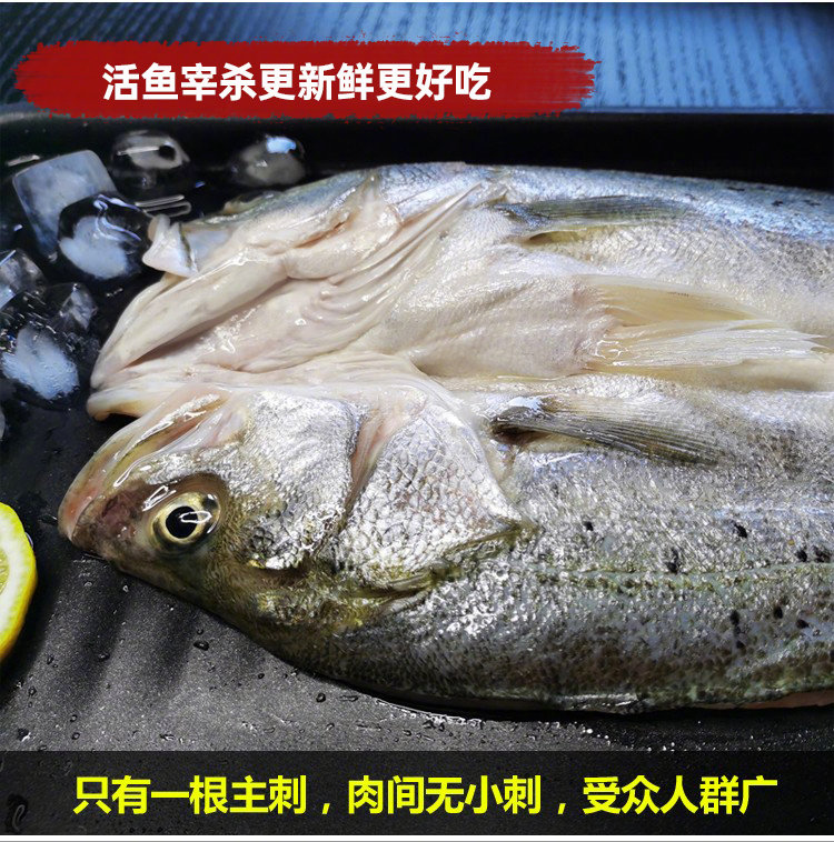 梅哥与海鲜活宰杀三去海鲈鱼去腮去鳞去内脏腌制免处理