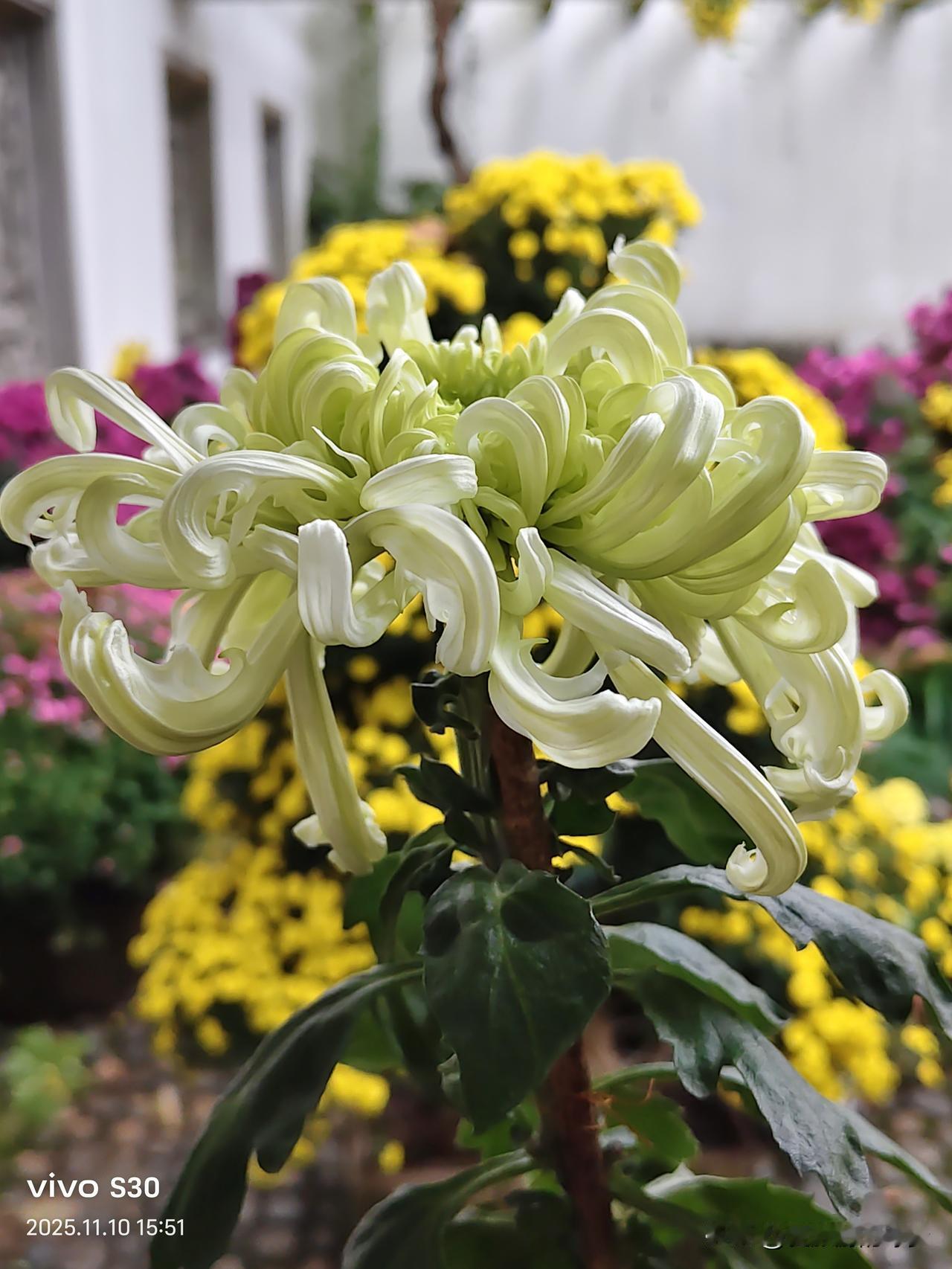 在异乡突然想家的瞬间