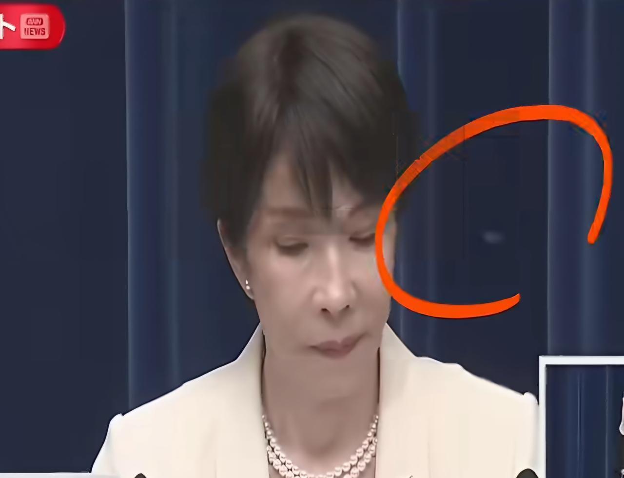 一只大苍蝇不偏不倚，正好落在全情贯注发表谋划言论的高市早苗头上！这只苍蝇不寻他人