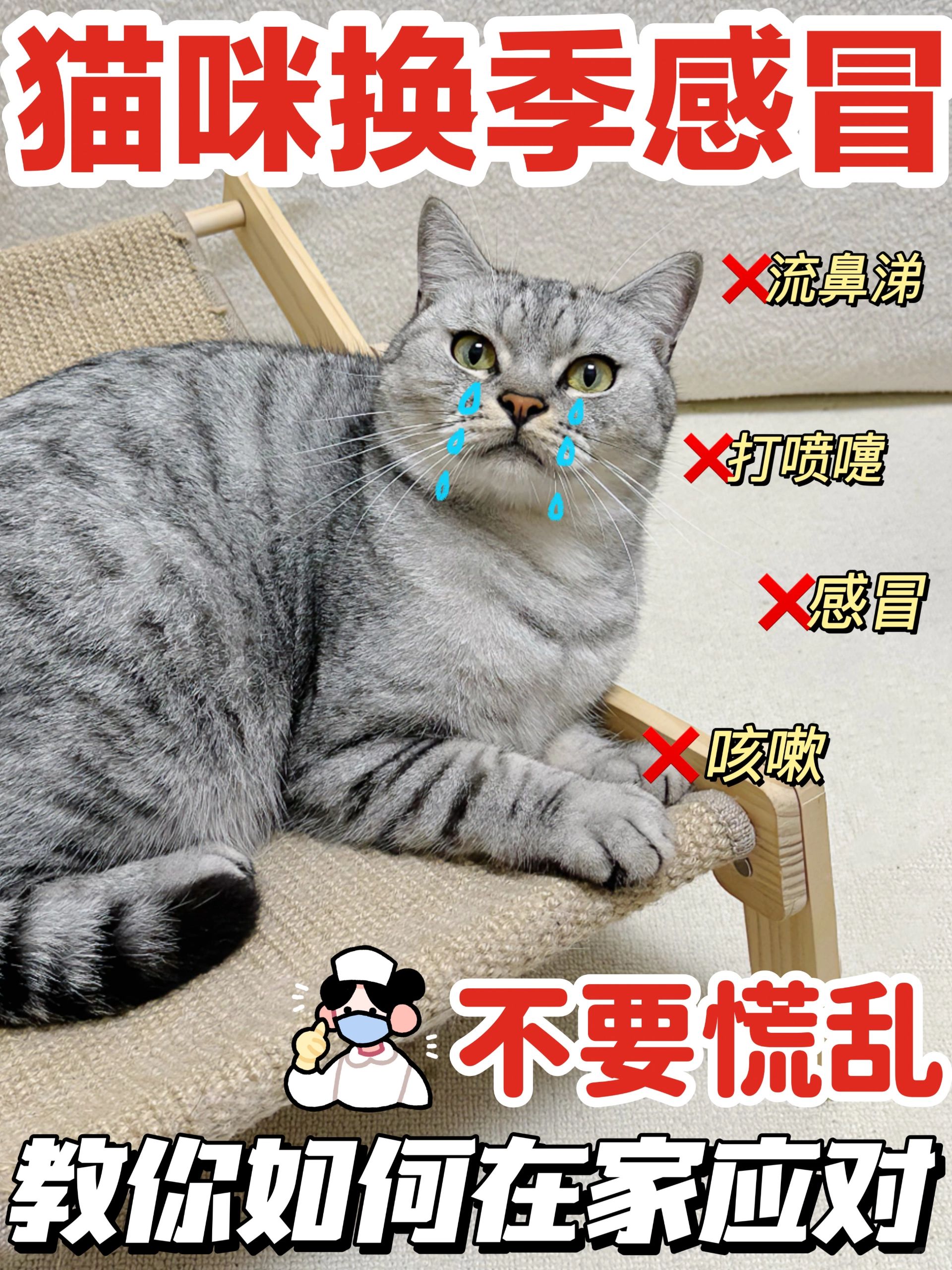 换季养猫攻略请查收✔️猫咪感冒不用慌！