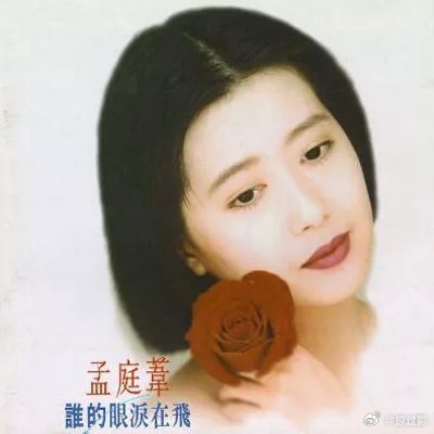 孟庭苇：青春是流星不舍的风景孟里花落知多少我的青春里有你孟庭苇个人推荐曲目：《化
