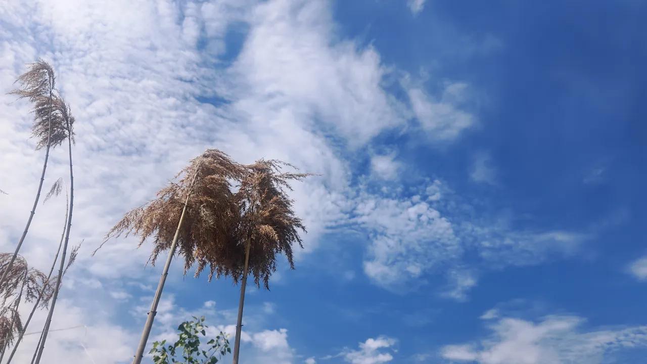分享一下你随手拍下的照片