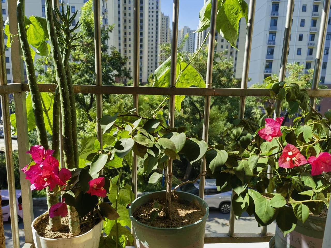 晒图笔记大赛