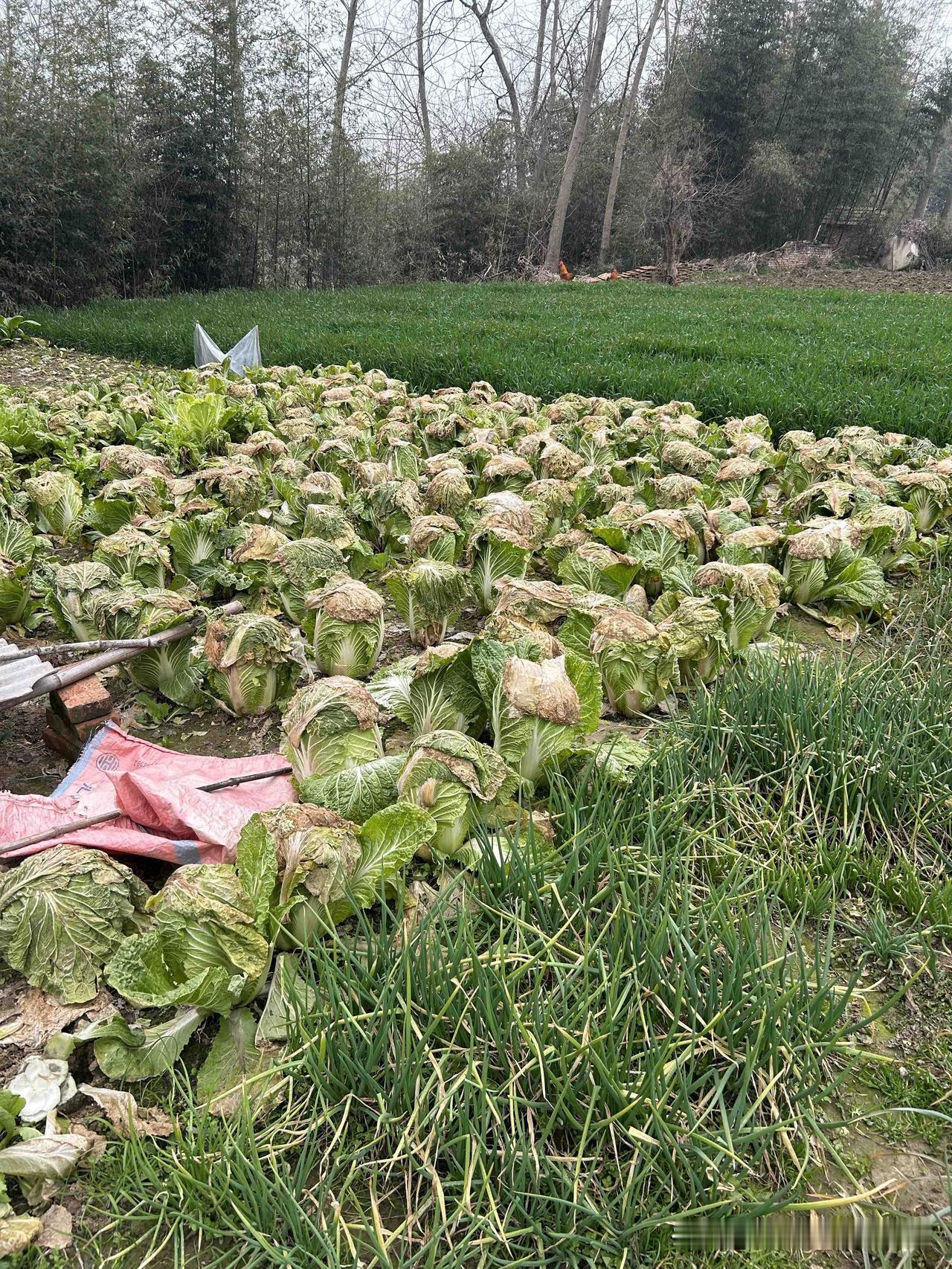太闲的男人，不能交朋友，要么捞偏门，要么败家子；太忙的女人不可撩，要么身价不菲，
