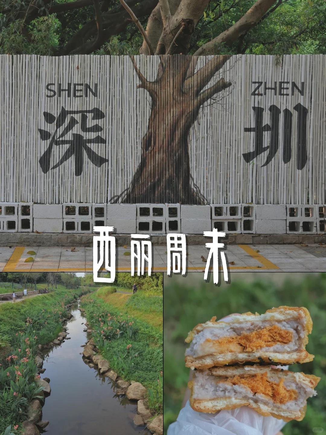 搬离西丽已经三年多了 可我还是喜欢这里
